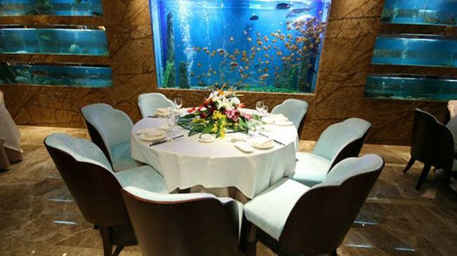 Four Seasons Rayli Hotel Ningbo Restaurant bilde